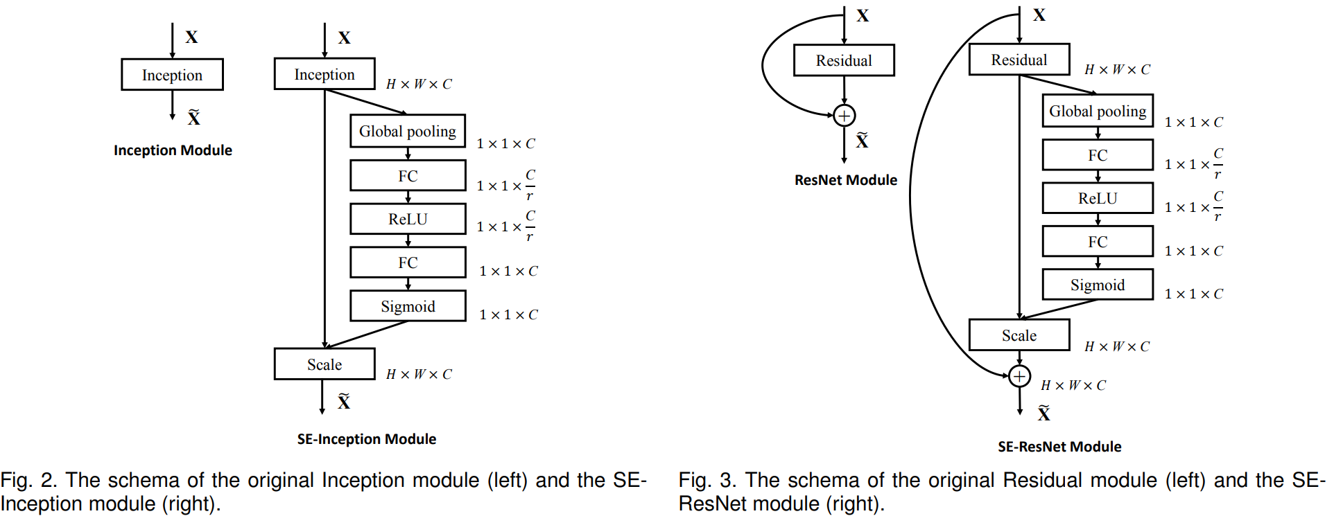 SE-Inception(左) 和 SE-ResNet(右)