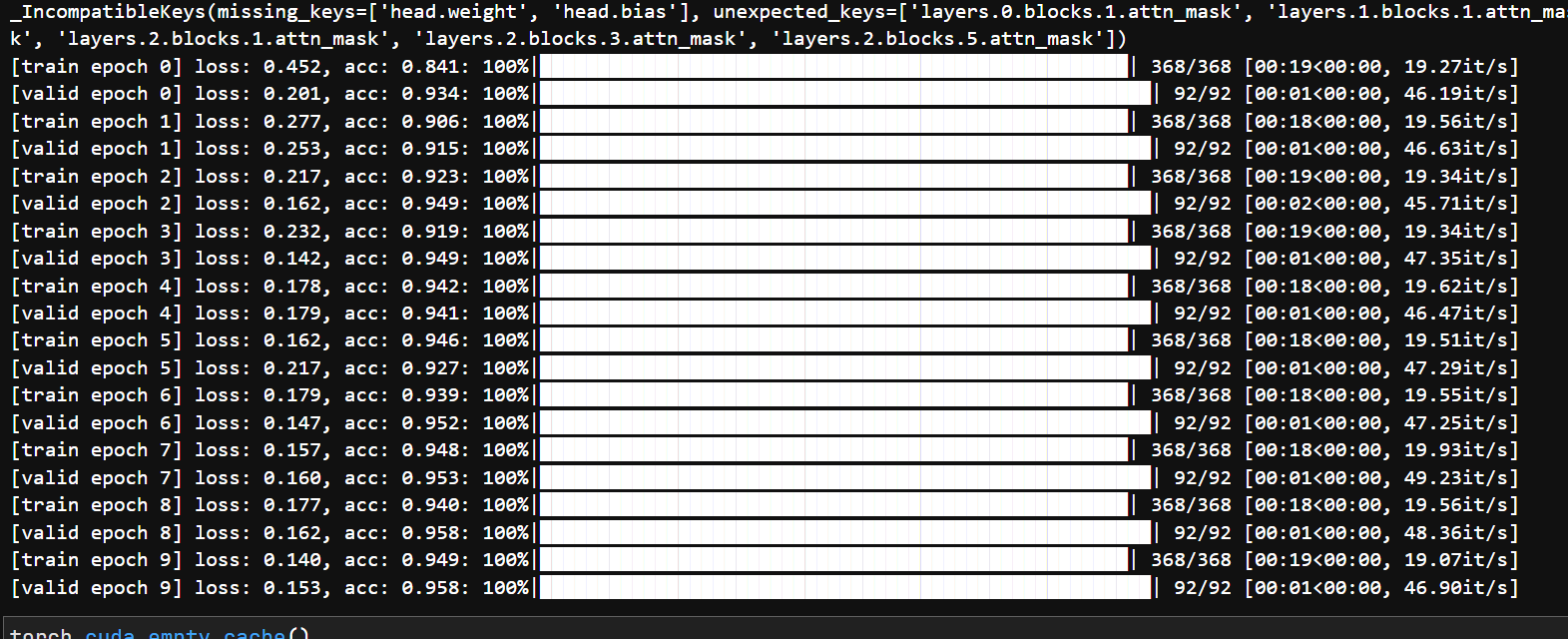 SwinTransformer 训练