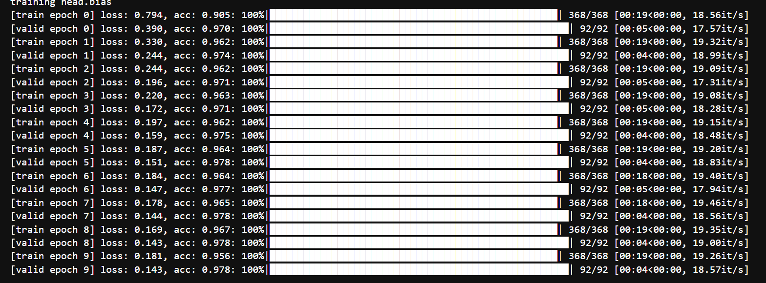 VisionTransformer 训练